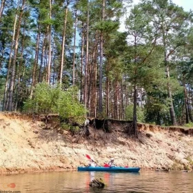 Spływ kajakowy rzeką Wda 