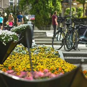 Wypożyczalnia rowerów ELEKTRYCZNYCH Kudowa-Zdrój