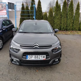 Wynajem samochodów Citroen C4 Cactus